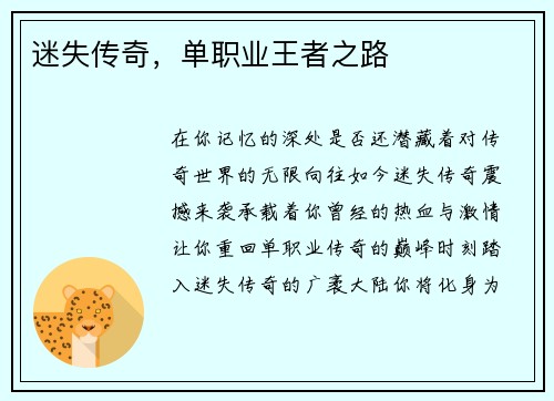 迷失传奇，单职业王者之路